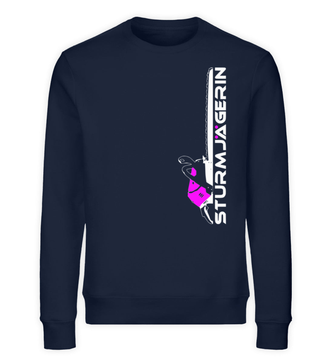French Navy