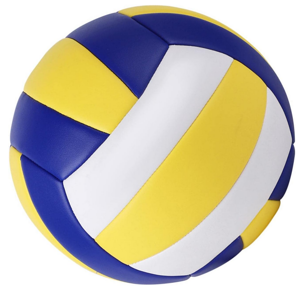 Testartikel Volleyball
